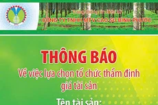 Công ty TNHH MTV Cao su Bình Phước thông báo về việc lựa chọn tổ chức thẩm định giá tài sản
