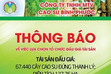 Công ty TNHH MTV Cao su Bình Phước thông báo về việc lựa chọn tổ chức đấu giá tài sản
