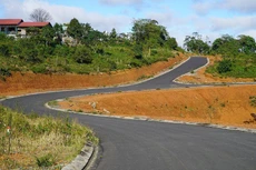 Ảnh minh họa: Internet.