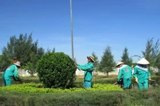 Gói thầu Chăm sóc cây kiểng các loại, thảm cỏ và vệ sinh, quét dọn trong khuôn viên trụ sở Tỉnh ủy năm 2025