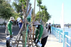 Trao đổi nghiệp vụ ngày 24/02/2025: Tiêu chí nhân sự chủ chốt