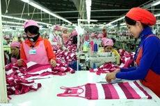 63,21% số doanh nghiệp tham gia khảo sát cho biết có nghe nói nhưng không hiểu biết sâu về các biện pháp phòng vệ thương mại. Ảnh: Lê Tiên