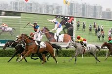 Nhiều dự án xây dựng trường đua được hồi sinh hoặc xin cấp phép mới trong thời gian gần đây.Ảnh minh họa