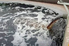 Nước xả thải của Formosa Hà Tĩnh. Ảnh: Đức Hùng