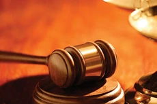 Vinafor quyết khởi kiện yêu cầu tòa hủy Nghị quyết tăng vốn của Vinafor Hà Nội