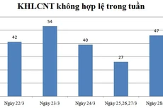 Ngày 28/3: Có 47 thông báo không hợp lệ
