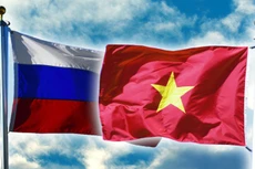 Năng lượng là trụ cột hợp tác Việt Nam - Liên bang Nga