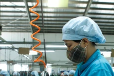 Doanh nghiệp ở TP.HCM là kênh thu hút vốn trong xã hội rất hiệu quả. Ảnh: Lê Tiên