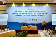 Nhiều chuyên gia đã đưa ra khuyến nghị gỡ vướng chính sách nhằm thu hút đầu tư vào lĩnh vực nông nghiệp, nông thôn. Ảnh: Bích Khánh