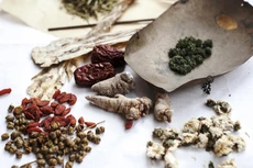 Nhiều loại dược liệu không đảm bảo chất lượng vẫn được cung cấp cho bệnh viện qua con đường đấu thầu. Ảnh: NC st