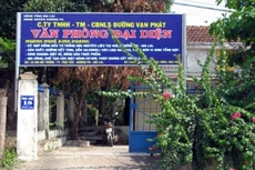 Nhà thầu Phương Tuấn trúng 9 trong số 12 gói thầu do Công ty TNHH Thương mại - Chế biến nông lâm sản Đường Vạn Phát làm bên mời thầu