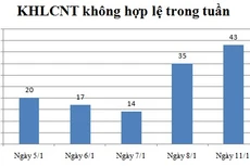 Ngày 11/1: Có 43 thông báo không hợp lệ