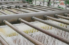 Ảnh chỉ mang tính minh họa. Nguồn Internet