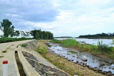 Vẫn có dự án đầu tư công vi phạm pháp luật về đấu thầu