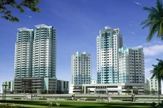 NDN: lợi nhuận 6 tháng giảm 60% so với cùng kỳ