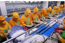 Năng suất lao động thấp là một thách thức với Việt Nam trong hội nhập. Ảnh: Tất Tiên