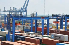 DVP đặt kế hoạch lãi 310 tỷ đồng