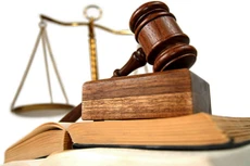 Hà Tĩnh: Vi phạm hành chính gia tăng