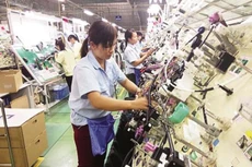 Năm 2016, Hanel đặt mục tiêu tăng trưởng 5% so với năm 2015