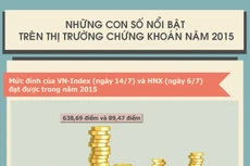 Những con số nổi bật trên TTCK Việt Nam năm 2015