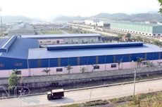 Lào Cai: Thu hồi đất triển khai Dự án Trung tâm thương mại