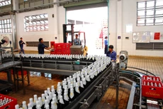 Đều là doanh nghiệp cổ phần hóa, hiện lợi nhuận của Sabeco chỉ bằng 1/3 Vinamilk. Ảnh: LTT