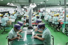 TP.HCM: Cần 25.000 việc làm trong tháng 8