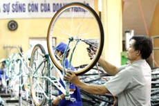 Đấu giá thành công 100% cổ phần Xe đạp Thống Nhất, giá trúng 10.386 đồng/CP