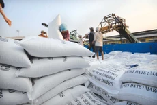 Xuất khẩu gạo, cà phê bất ngờ tăng mạnh trở lại