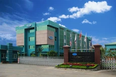Cổ phiếu TTF đã mất giá 39% sau 7 phiên lao dốc. Ảnh: Nhã Chi st