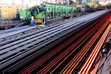 5 tháng đầu năm, TLH đạt 215 tỷ đồng lợi nhuận