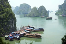 Xúc tiến du lịch Việt Nam tại Australia và Iran