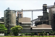 Cổ phiếu Xi măng X18 “đắt khách”