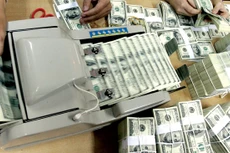 Tỷ giá sẽ tạm thời ổn định trong một vài tuần tới