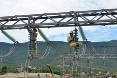 Đôn đốc nhà thầu để đóng điện cho xã đảo Lại Sơn trước 30/4