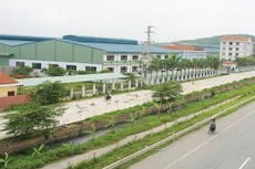 Cổ phiếu CIG khởi sắc nhờ được thâu tóm