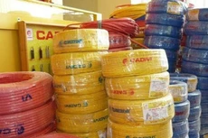 CAV trả cổ tức 30% bằng tiền mặt