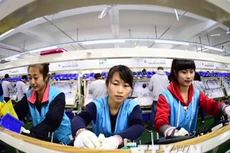 Công nhân làm việc tại nhà máy ở Rushan, tỉnh Sơn Đông, miền Đông Trung Quốc ngày 12/11/2015. (Nguồn: THX/TTXVN)