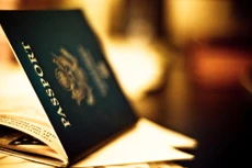 Ngoài những quốc gia quen thuộc, thì dịch vụ chào mời nhập cư còn có thêm những cái tên mới nổi như Maltađảo Síp, Bồ Đào Nha, Tây Ban Nha, Ireland, Cộng hoà Dominica...