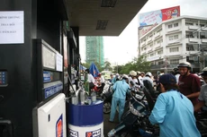 Một số hoạt động đầu tư ngoài ngành nghề kinh doanh chính của công ty mẹ Petrolimex đã có những vi phạm không nhỏ.