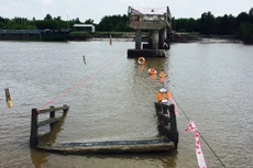 Ảnh minh họa. Nguồn Internet