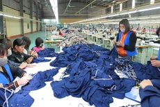 Tỷ lệ nội địa hóa ngành dệt may có thể đạt trên 60%
