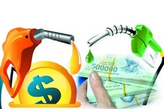 Quy mô nền kinh tế năm 2015 đạt 4.192,9 nghìn tỷ đồng, GDP bình quân đầu người năm 2015 ước đạt 45,7 triệu đồng/người, tương đương 2.109 USD - tăng 57 USD so với năm 2014.