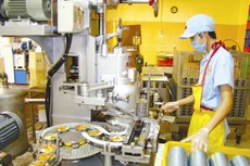 Nếu quy định cấm nhập khẩu máy móc, thiết bị công nghệ đã qua sử dụng có tuổi đời trên 10 năm có hiệu lực, nhiều doanh nghiệp nhỏ sẽ gặp khó khăn do thiếu vốn đầu tư công nghệ mới. Ảnh: UYÊN VIỄN