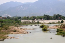 Sông Cái ở phía thượng nguồn sắp cạn trơ đáy, dẫn đến xâm nhập mặn. Ảnh: TT