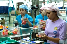 75% doanh nghiệp nhỏ và vừa phải cậy nhờ đến các mối quan hệ để tiếp cận thông tin. Ảnh: Tất Tiên