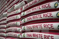 Gạo Thái Lan tại nhà máy ở Bangkok. (Ảnh: AFP/TTXVN)