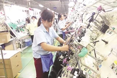 “Ế” cổ phần Công ty Hanel