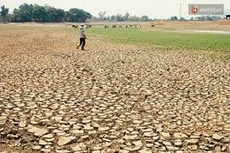 Hỗ trợ DNNVV ứng phó với rủi ro thiên tai