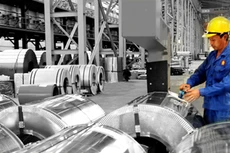 HSG tăng vốn điều lệ cho công ty con lên 200 tỷ đồng